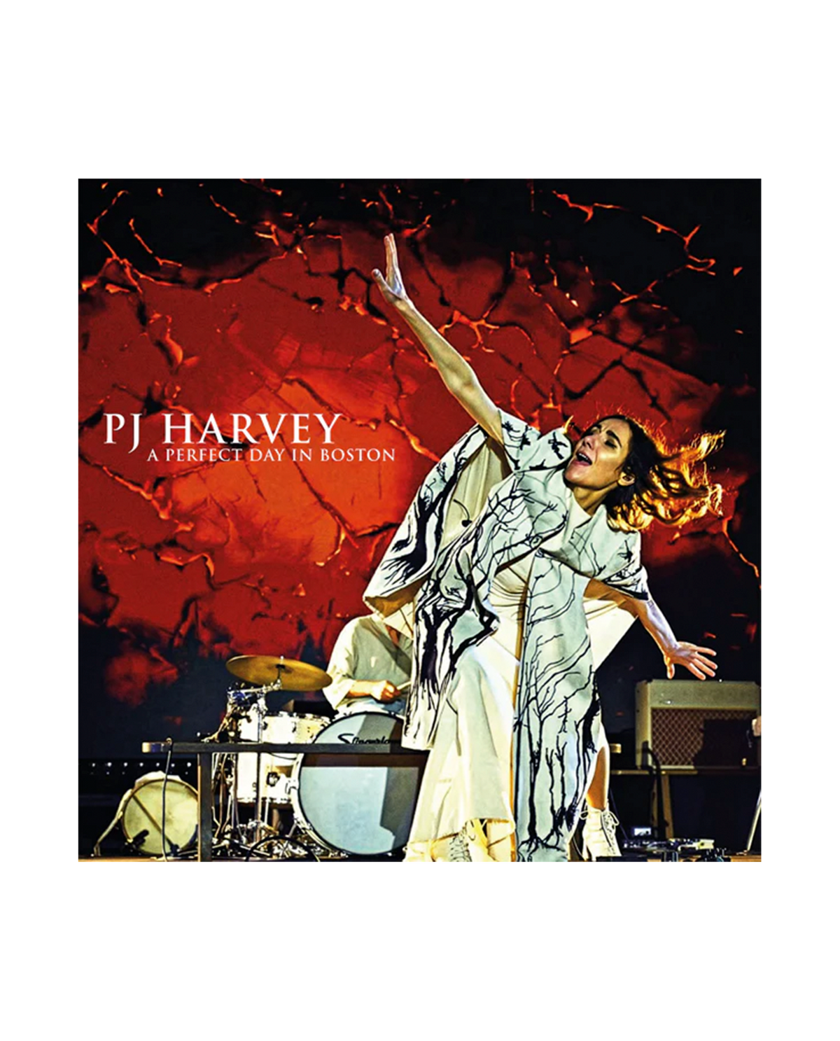 PJ Harvey - 2LP Vinilo "A perfect day in Boston"