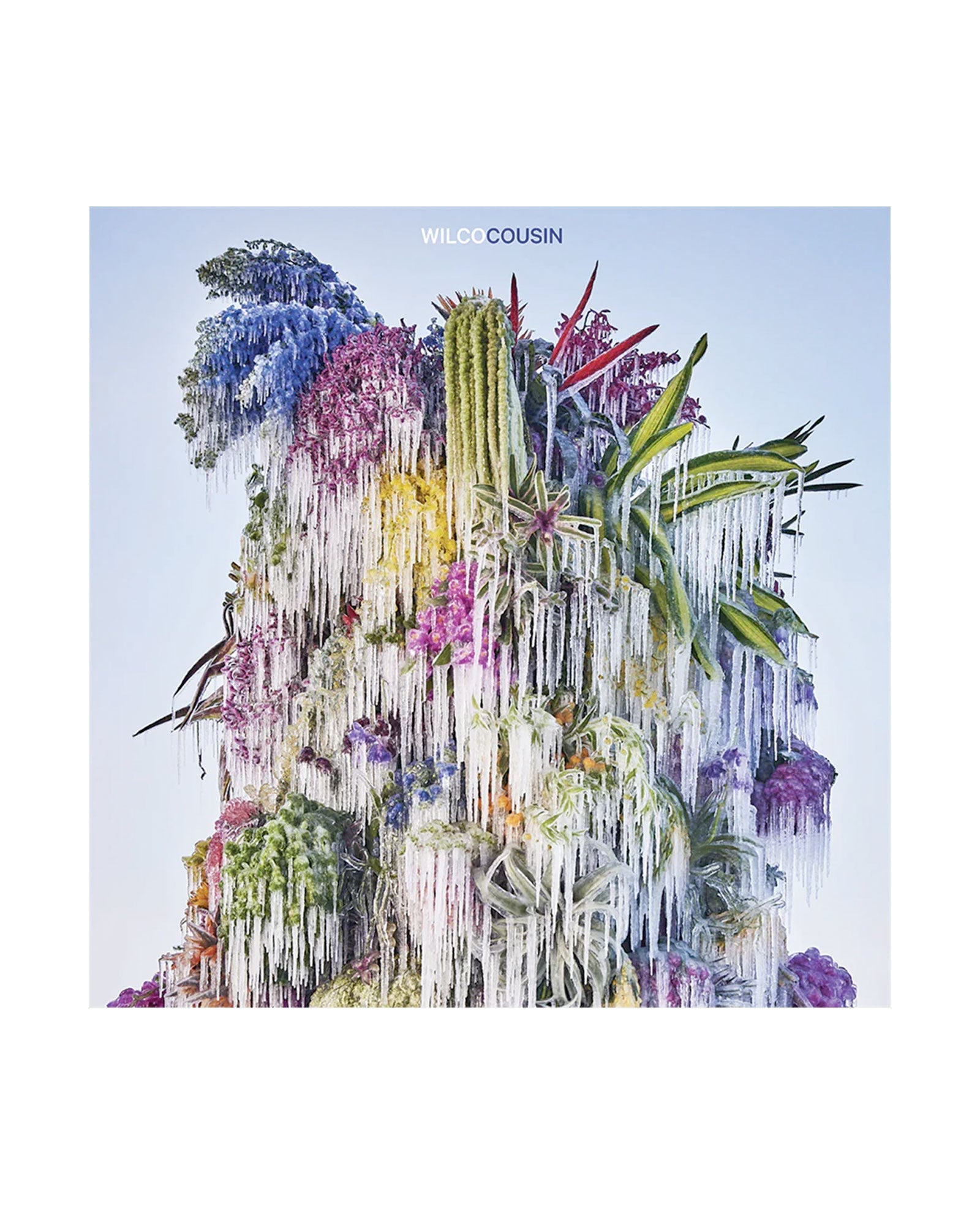 Wilco - CD "Cousin" - D2fy · Rocktud - Rocktud
