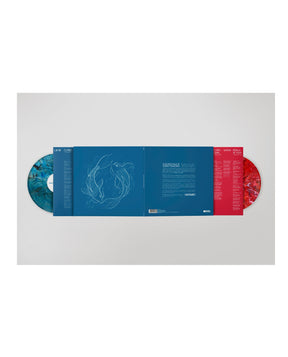 Veintiuno - 2LP Vinilo "El Último baile de Delirio y Equilibrio"