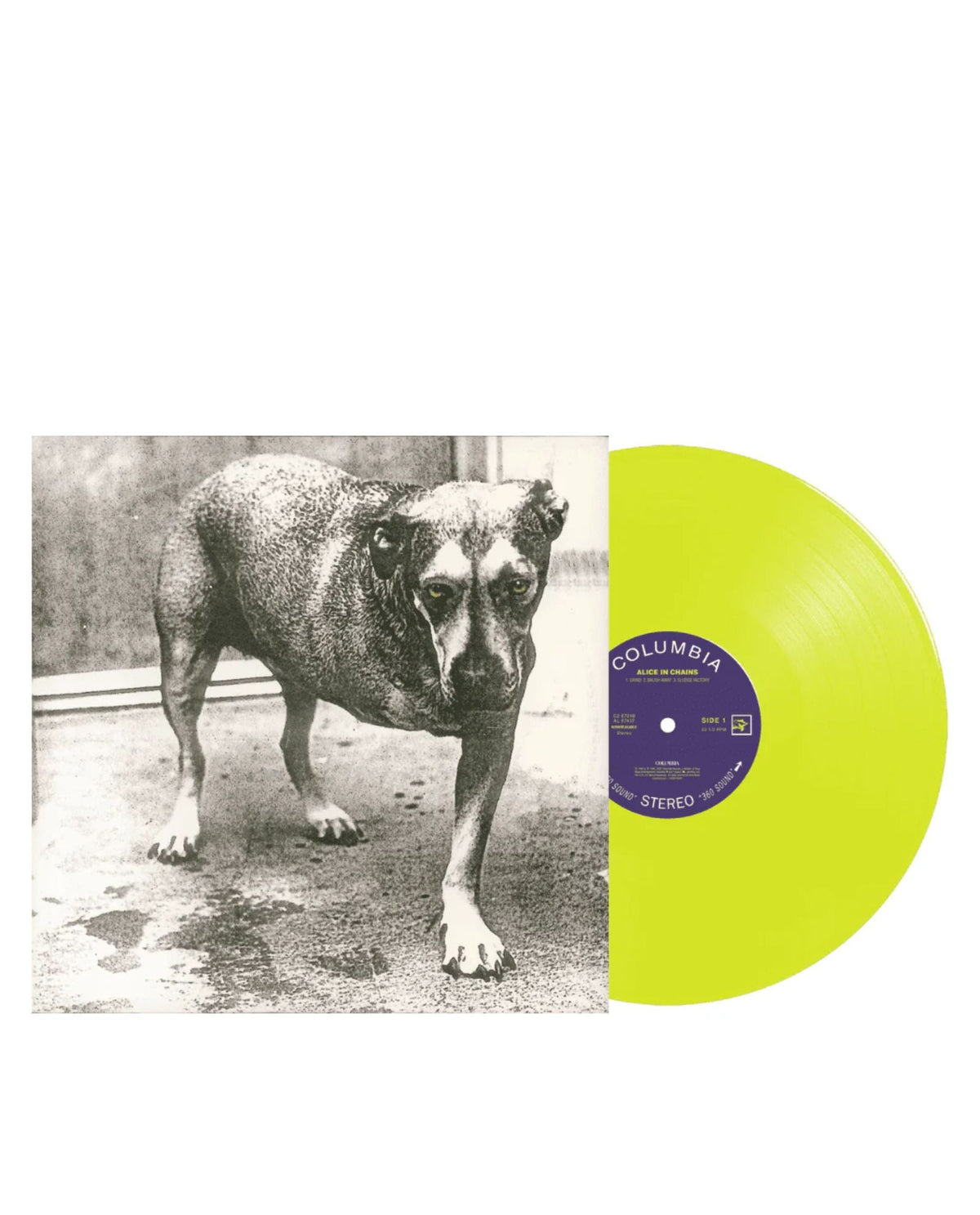 Alice in Chains - 2LP Color - Alice in Chains (30TH Anniversary) - D2fy · Rocktud - D2fy