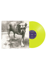 Alice in Chains - 2LP Color - Alice in Chains (30TH Anniversary) - D2fy · Rocktud - D2fy