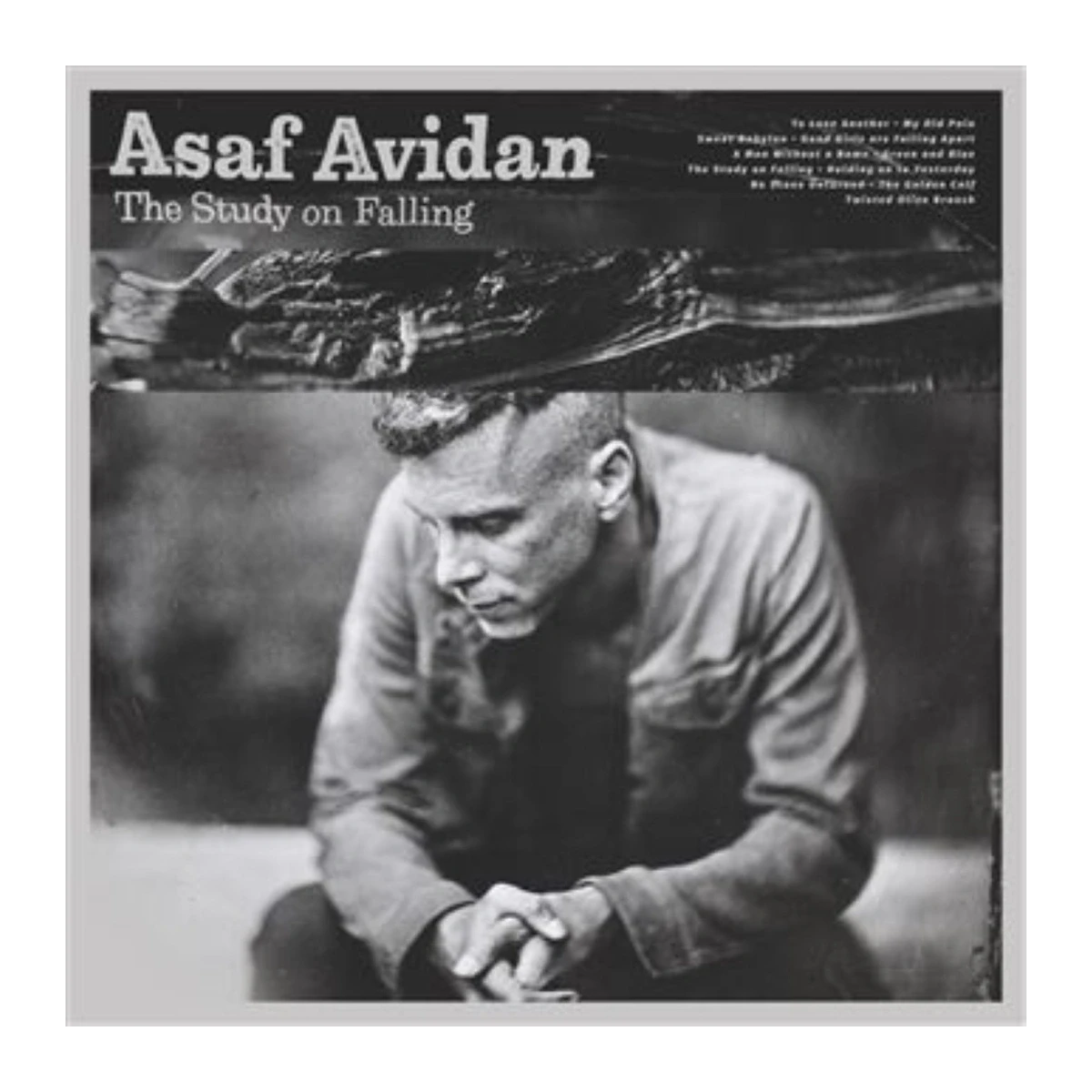 Asaf Avidan - LP Vinilo "The Study On Falling"