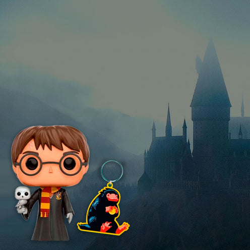 HARRY POTTER