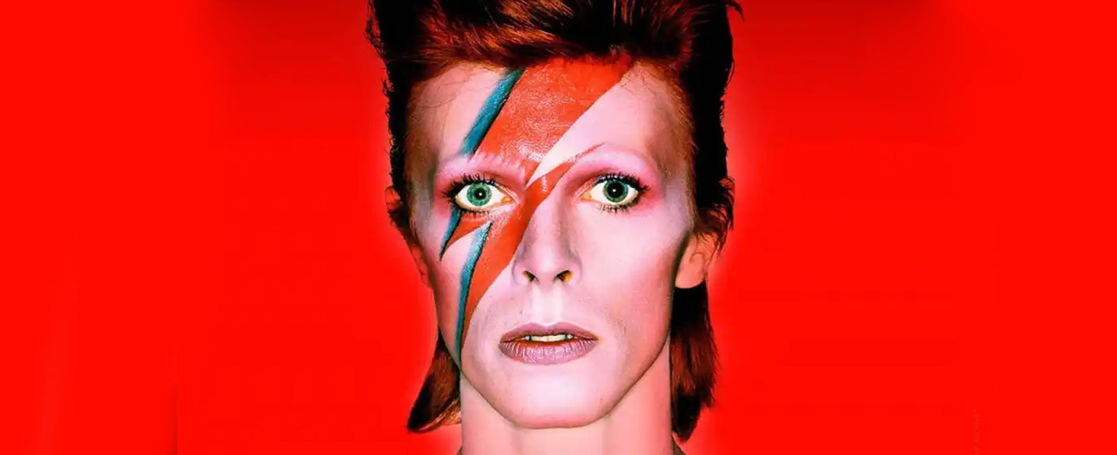 Tienda Oficial David Bowie