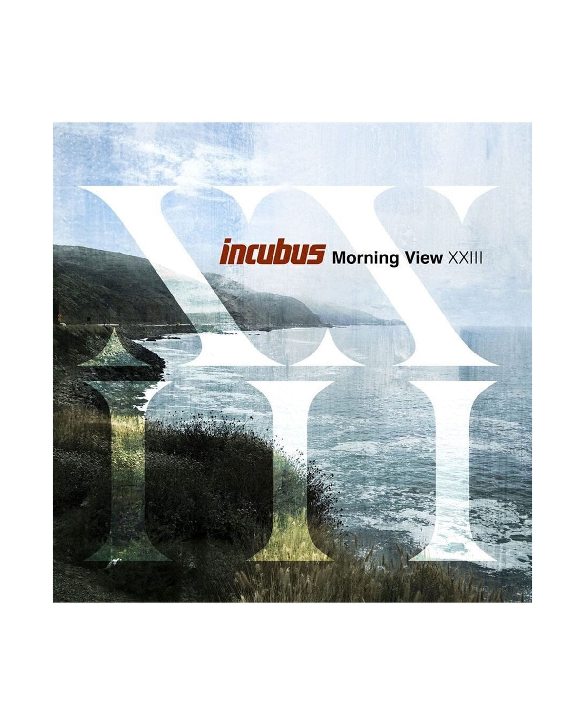 Incubus - LP Vinilo Azul "Morning View XXIII" - D2fy · Rocktud - Rocktud