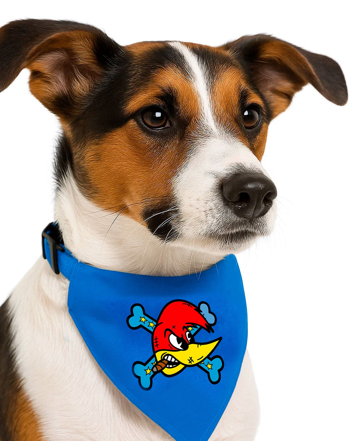Loquillo - Collar pañuelo para mascotas - D2fy · Rocktud - Loquillo