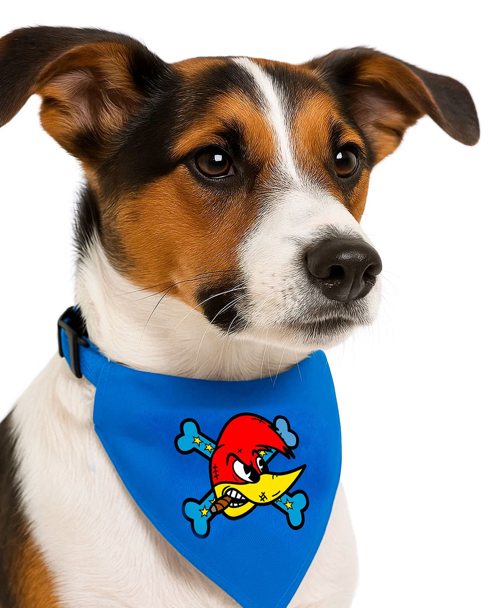 Loquillo - Collar pañuelo para mascotas - D2fy · Rocktud - Loquillo