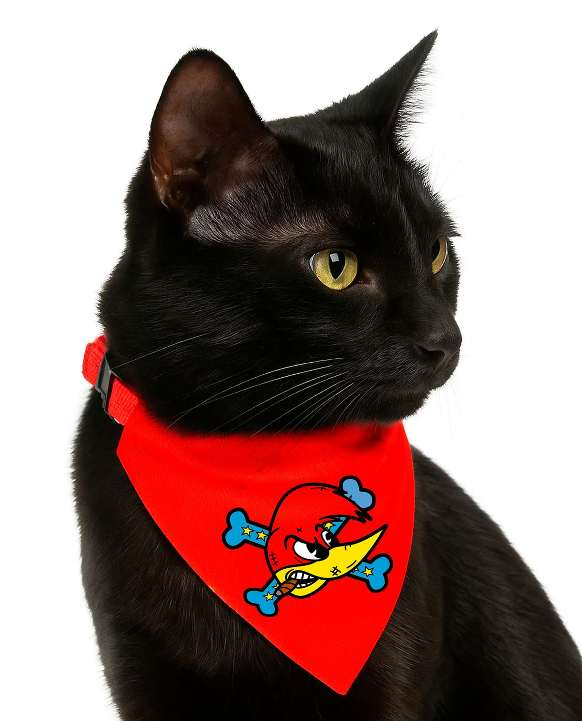 Loquillo - Collar pañuelo para mascotas - D2fy · Rocktud - Loquillo