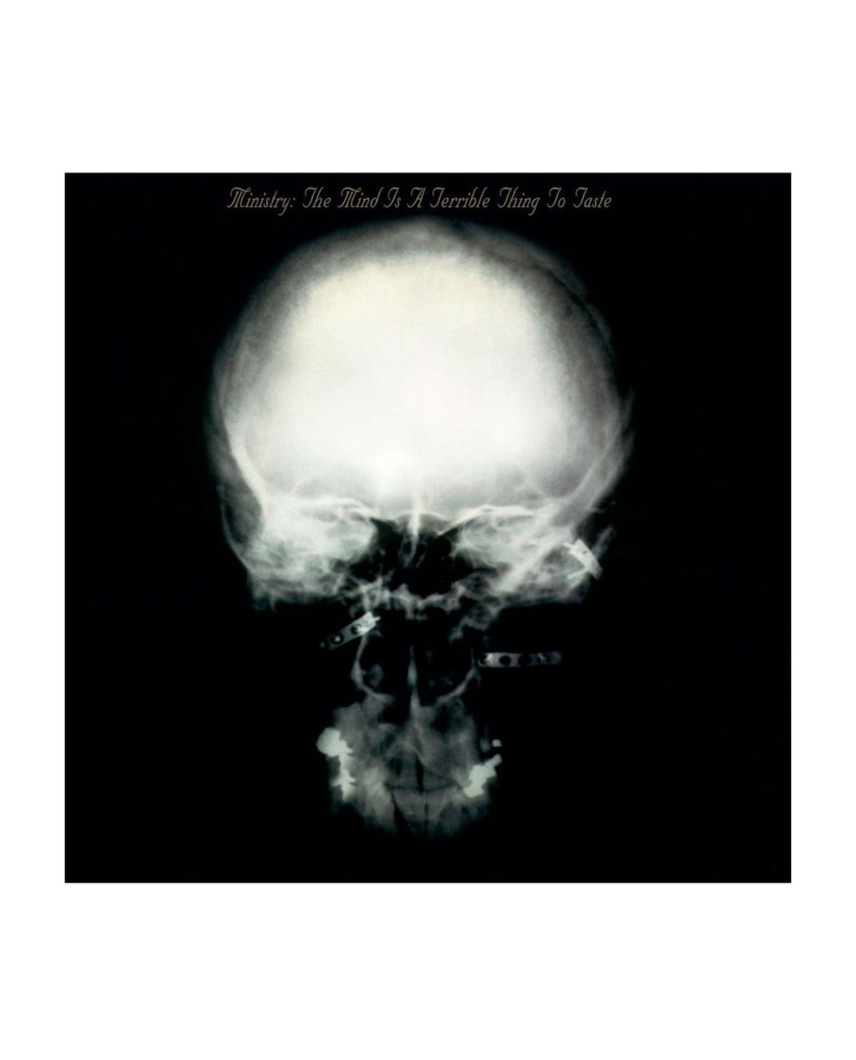 Ministry - 2LP Vinilo "The Mind Is A Terrible Thing To Taste" - D2fy · Rocktud - Rocktud