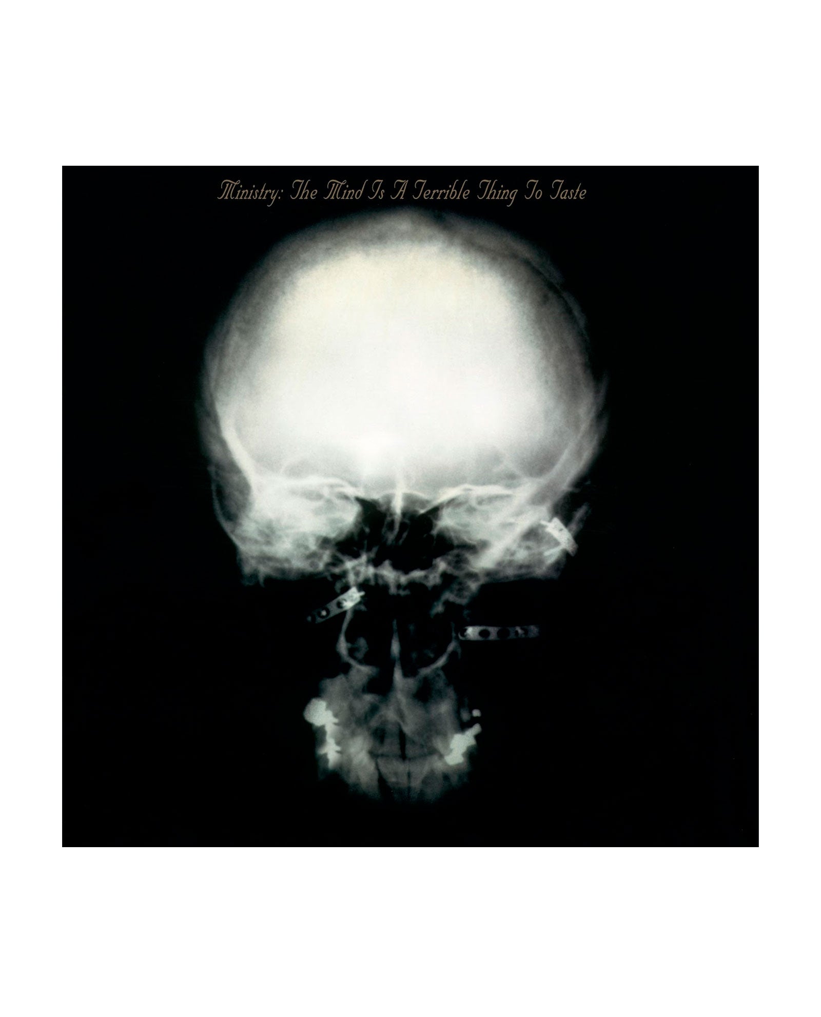 Ministry - 2LP Vinilo "The Mind Is A Terrible Thing To Taste" - D2fy · Rocktud - Rocktud