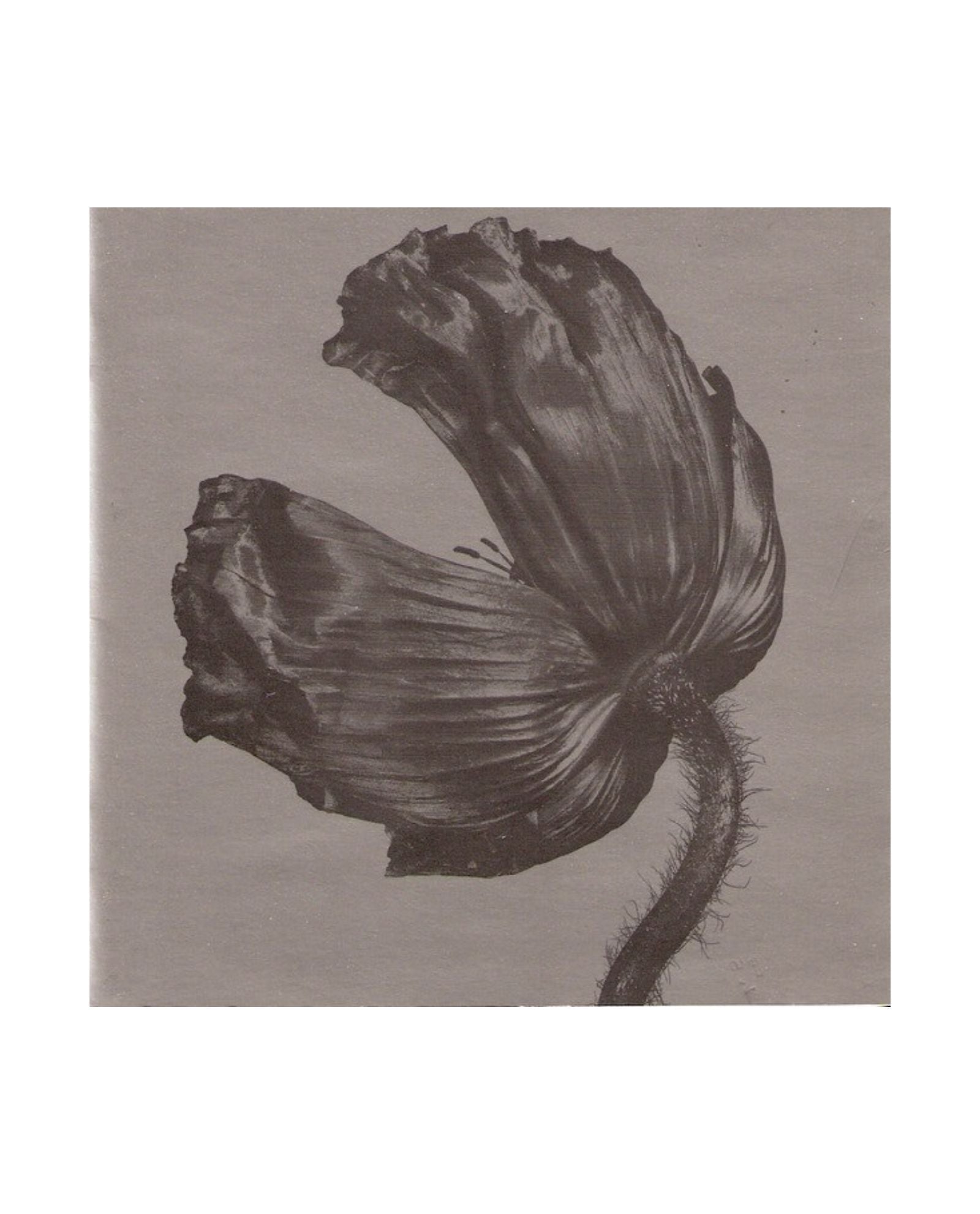 Pet Shop Boys - CD "Release" - D2fy - Direct To Fans - D2fy