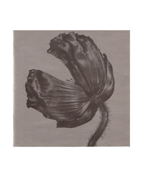 Pet Shop Boys - CD "Release" - D2fy - Direct To Fans - D2fy