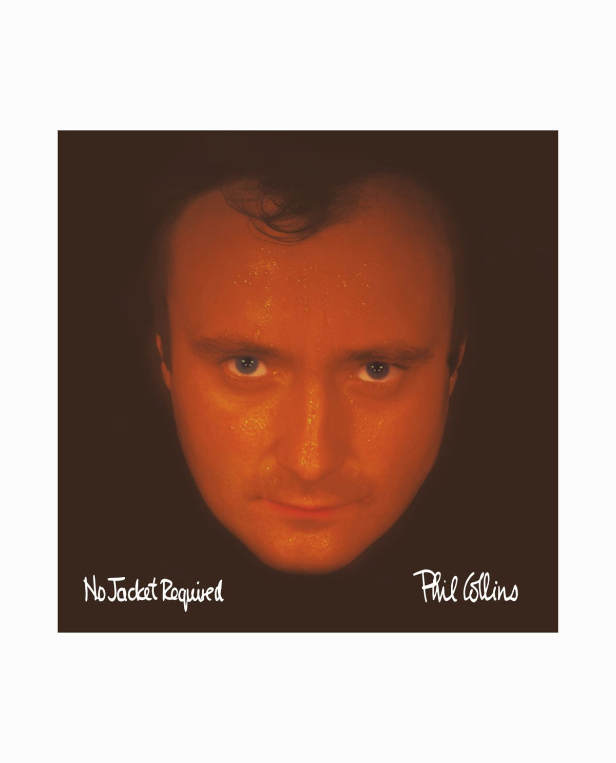 Phil Collins - CD "No Jacket Required" - D2fy · Rocktud - D2fy