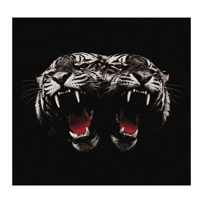 Royal Blood - CD "Dead Company" - D2fy - Direct To Fans - Royal Blood