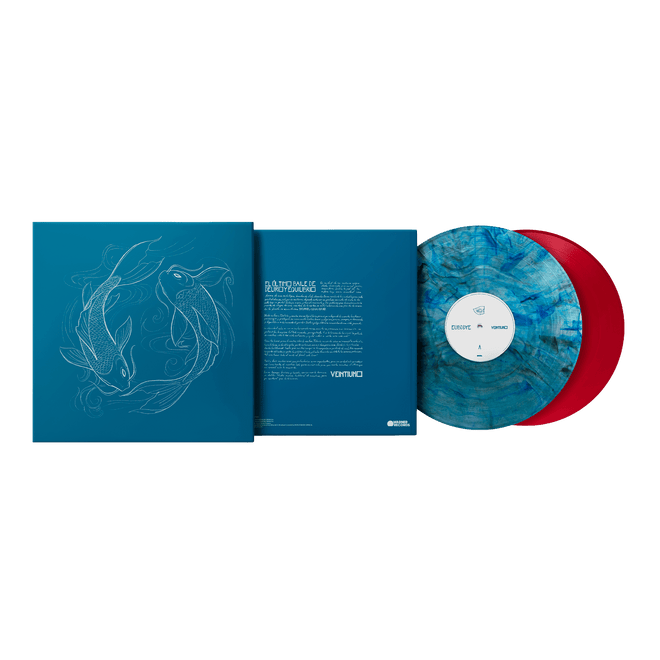 Veintiuno - 2LP Vinilo "El Último baile de Delirio y Equilibrio" - D2fy - Direct To Fans - Veintiuno