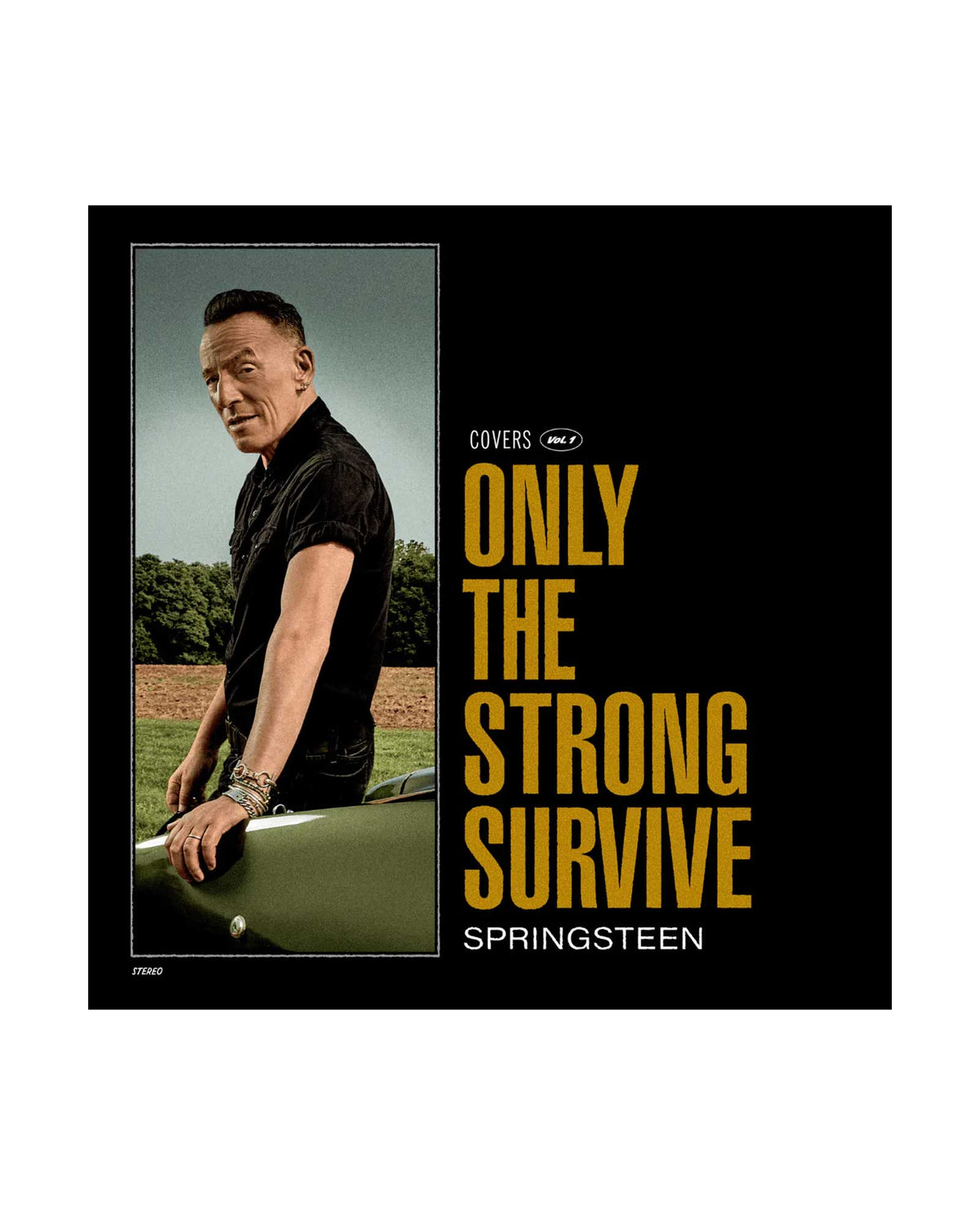 2LP - Only the strong survive - Bruce Springsteen - Rocktud - Rocktud
