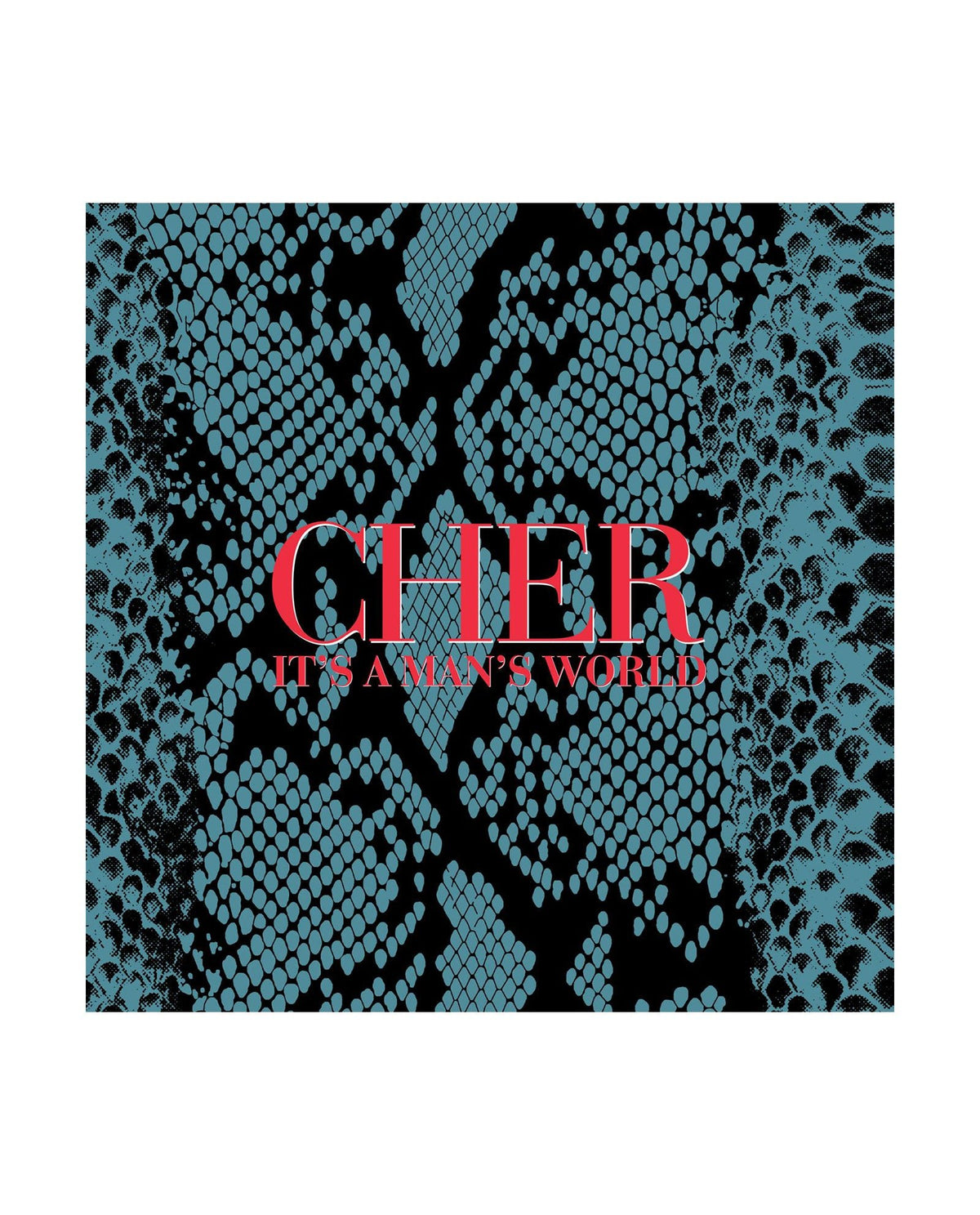 Cher - 2CD "It's a man's world (Deluxe Edition)" - D2fy · Rocktud - D2fy