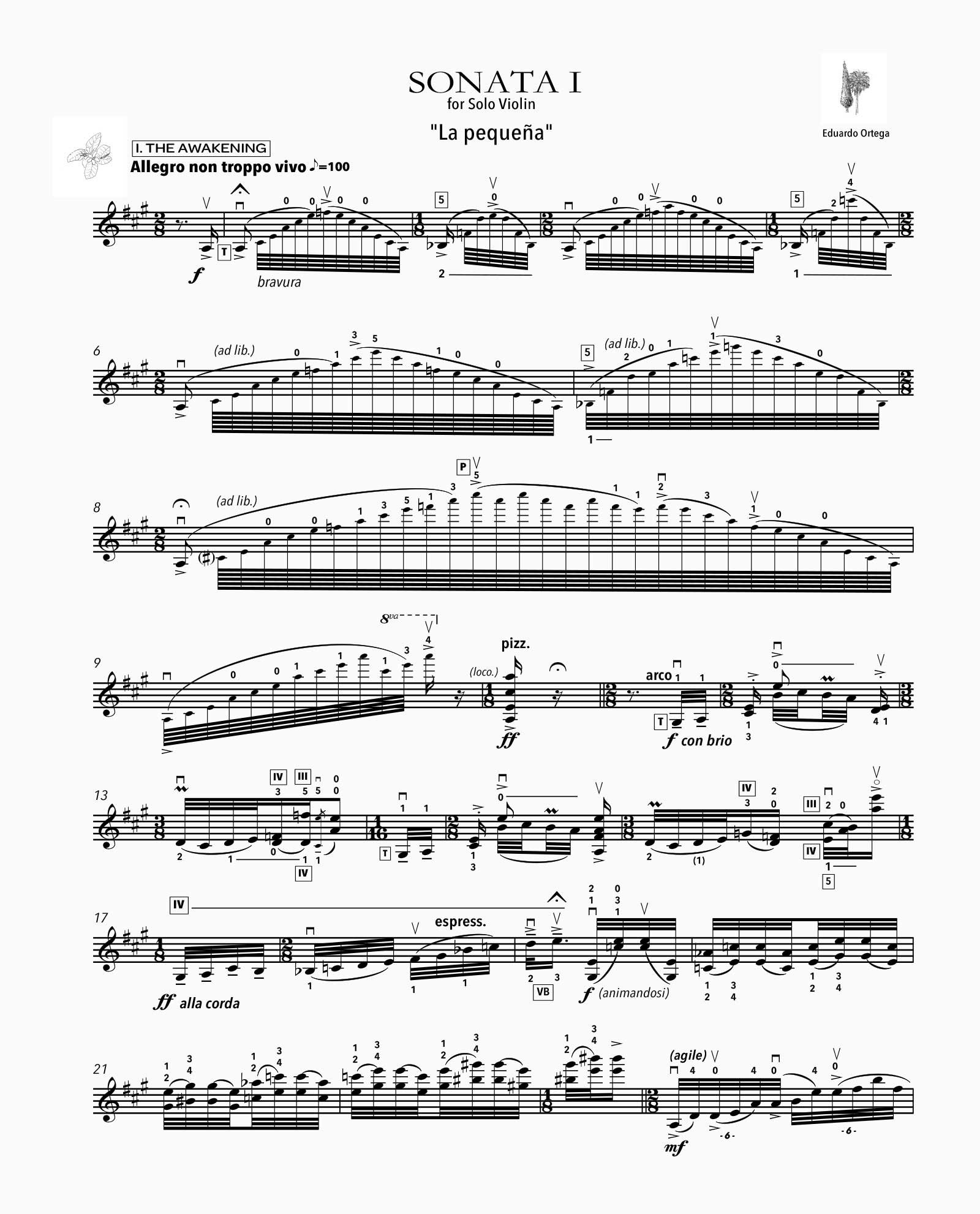 Partitura: “La Pequeña - Sonata para violín solo" - D2fy · Rocktud - D2fy · Rocktud